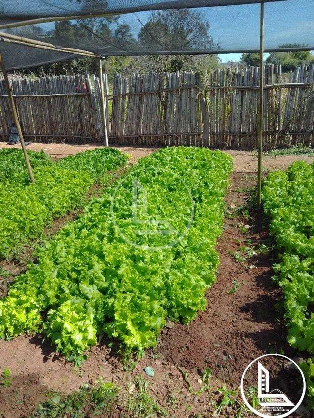 Ótima oportunidade, lindo sítio à venda município de Campanha sentido Fernão Dias! Área Rural Três Corações - 