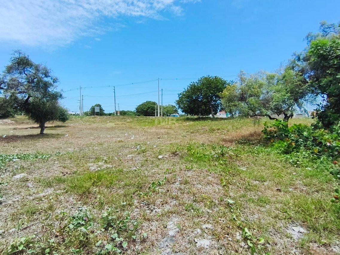 OPORTUNIDADE !! REPASSE DE LOTE  EM NOVA TAMANDARÉ PRONTO PARA CONSTRUIR LOTEAMENTO VILA TAMADARÉ Tamandaré - 