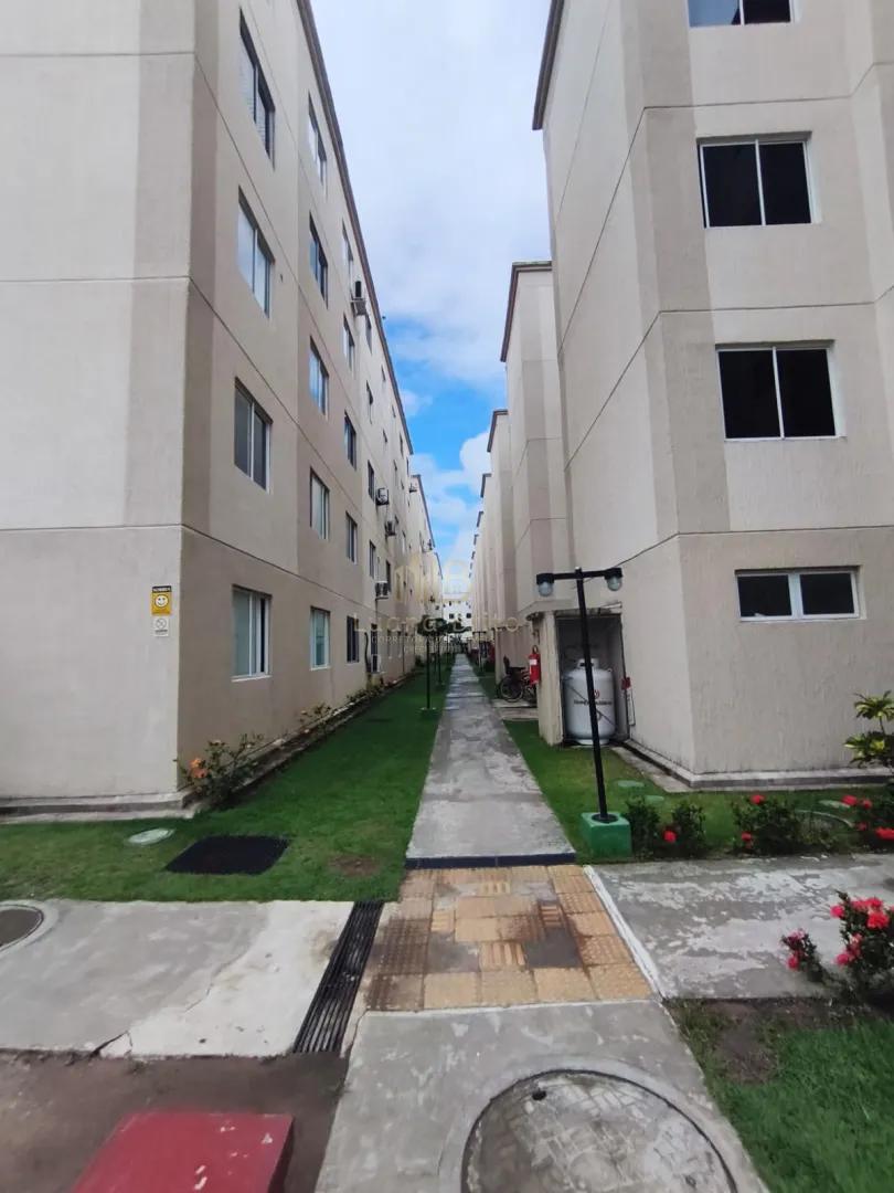 ALUGO OU VENDO APARTAMENTO T&Eacute;RREO EM PAULISTA Rua Maria Emília Boeckmann - - 