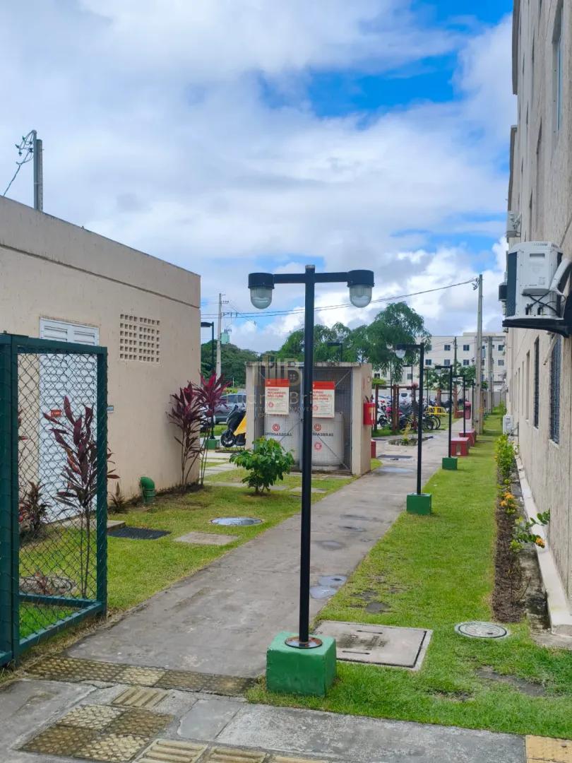 ALUGO OU VENDO APARTAMENTO T&Eacute;RREO EM PAULISTA Rua Maria Emília Boeckmann - - 