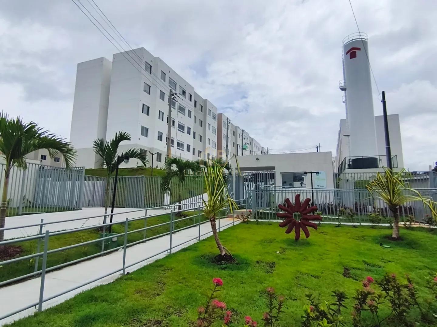 ALUGUEL DE APARTAMENTO NOVO REFORMADO EM CAMARAGIBE  Camaragibe - 