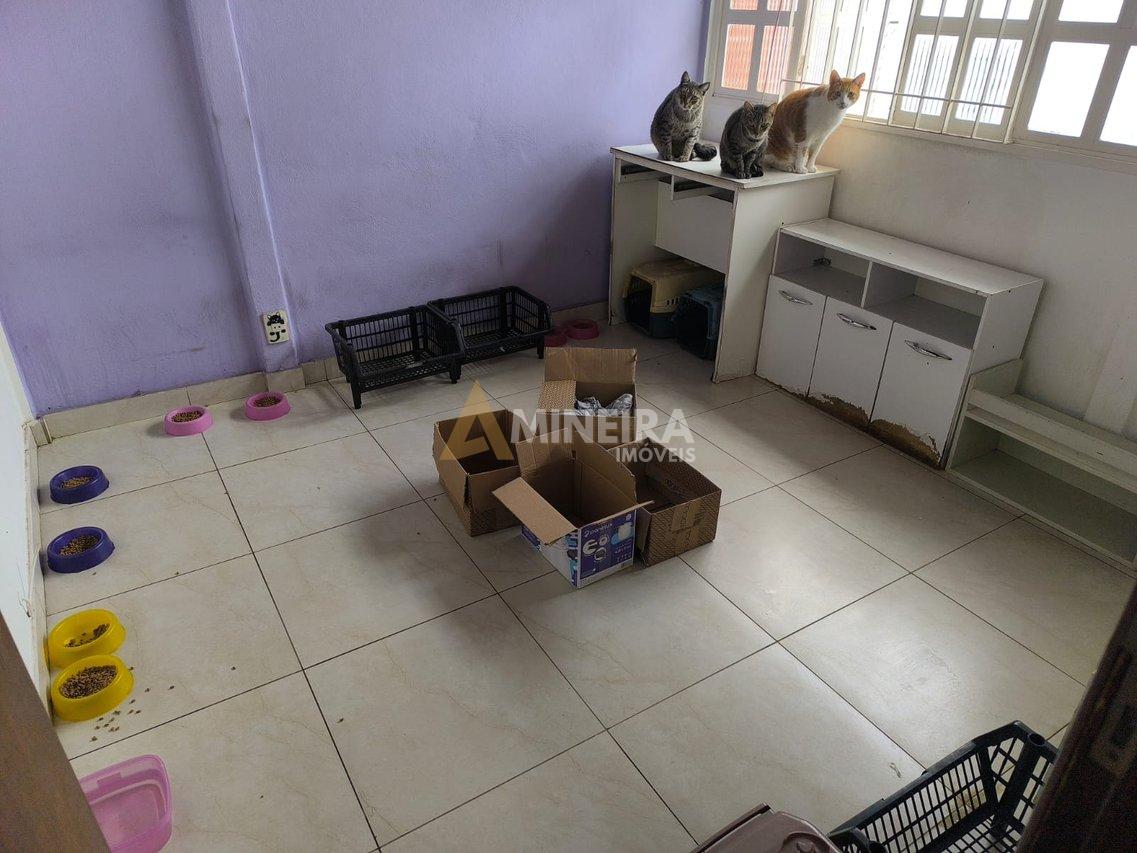 CASA A VENDA COM 3QTOS, SENDO 1 SUITE, VERANDA - 171MT² - BAIRRO HAVAÍ - BH RUA MARIA BEATRIZ Belo Horizonte - 