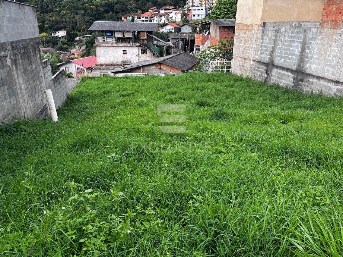 EXCELENTE TERRENO PLANO E TODO MURADO COM 430MTS² NO BAIRRO CÔNEGO R$ 330.000,00 - Nova Friburgo - 