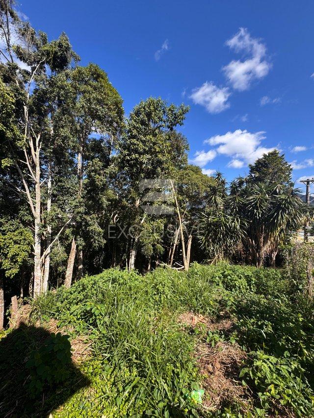 Terreno à venda, 550 m² por R$ 300.000,00 - Braunes - Nova Friburgo/RJ - Nova Friburgo - 