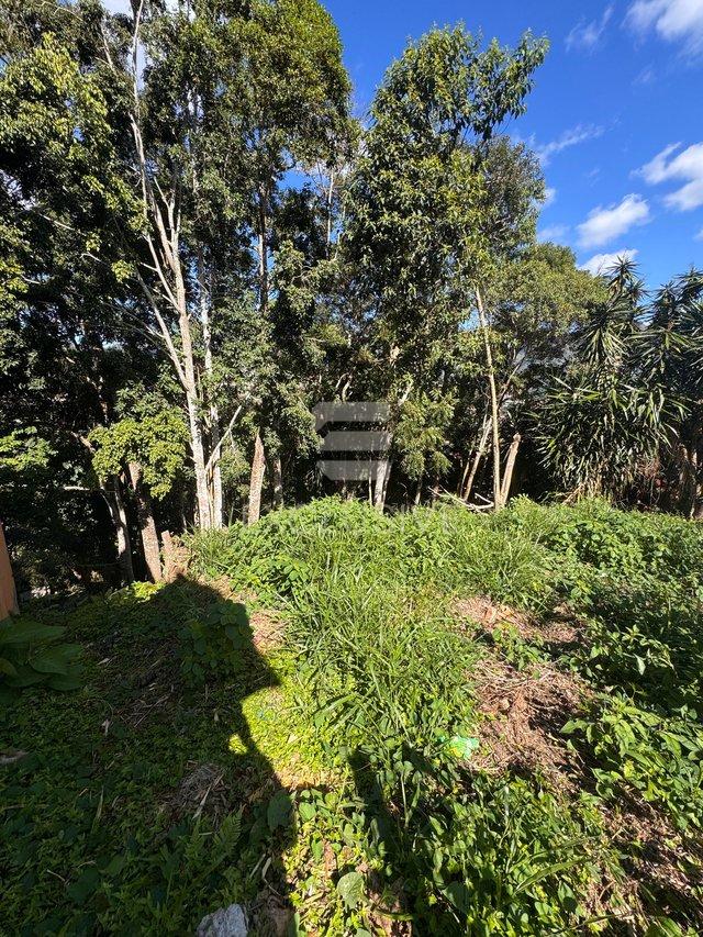 Terreno à venda, 550 m² por R$ 300.000,00 - Braunes - Nova Friburgo/RJ - Nova Friburgo - 