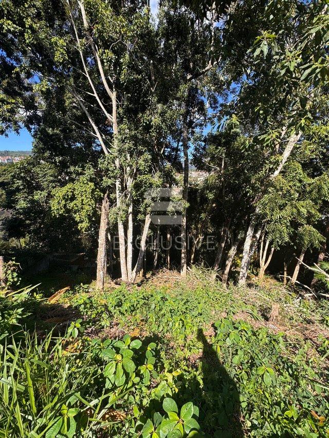 Terreno à venda, 550 m² por R$ 300.000,00 - Braunes - Nova Friburgo/RJ - Nova Friburgo - 