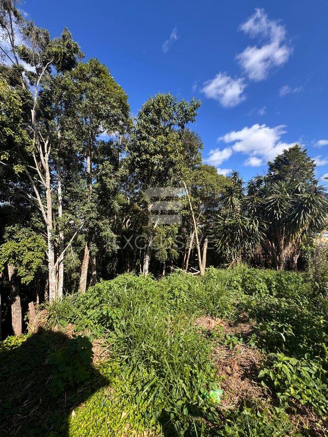 Terreno à venda, 550 m² por R$ 300.000,00 - Braunes - Nova Friburgo/RJ - Nova Friburgo - 