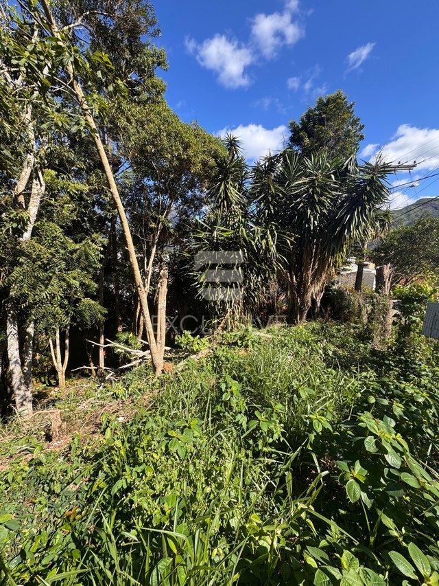 Terreno à venda, 550 m² por R$ 300.000,00 - Braunes - Nova Friburgo/RJ - Nova Friburgo - 