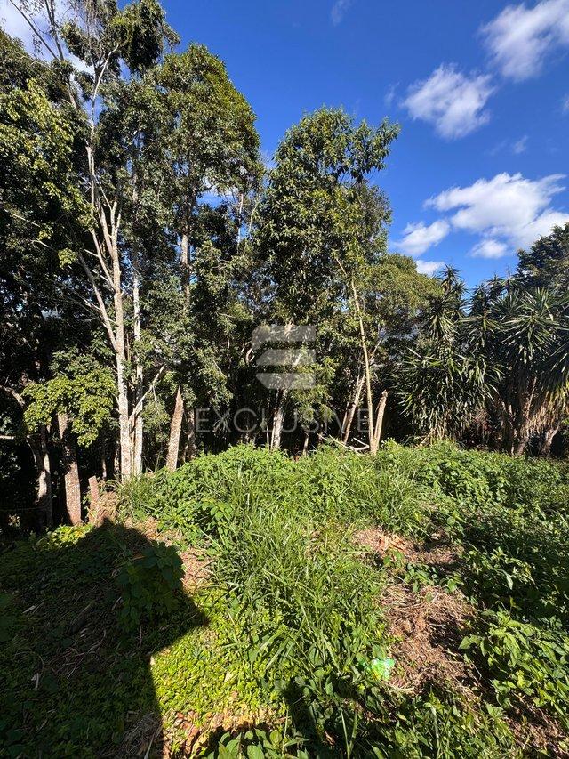 Terreno à venda, 550 m² por R$ 300.000,00 - Braunes - Nova Friburgo/RJ - Nova Friburgo - 