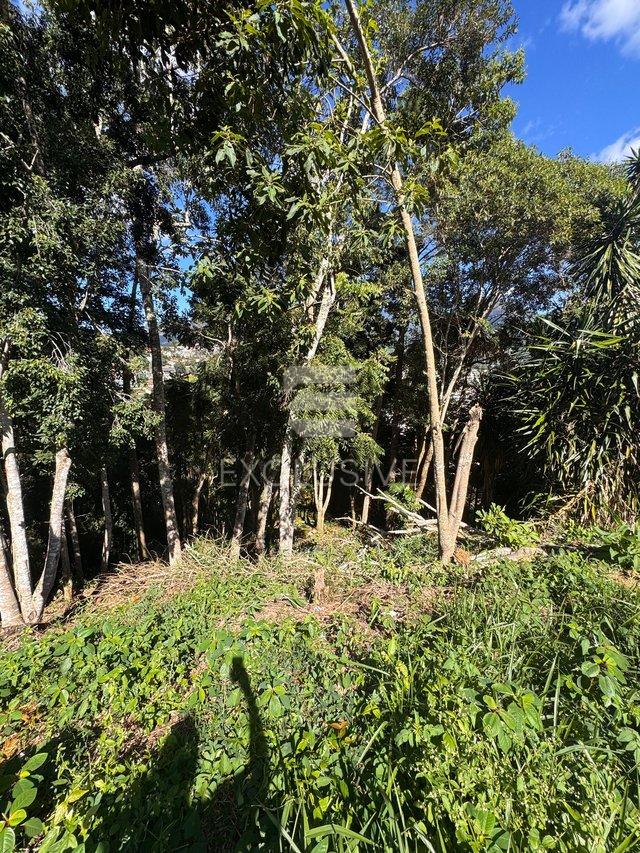 Terreno à venda, 550 m² por R$ 300.000,00 - Braunes - Nova Friburgo/RJ - Nova Friburgo - 
