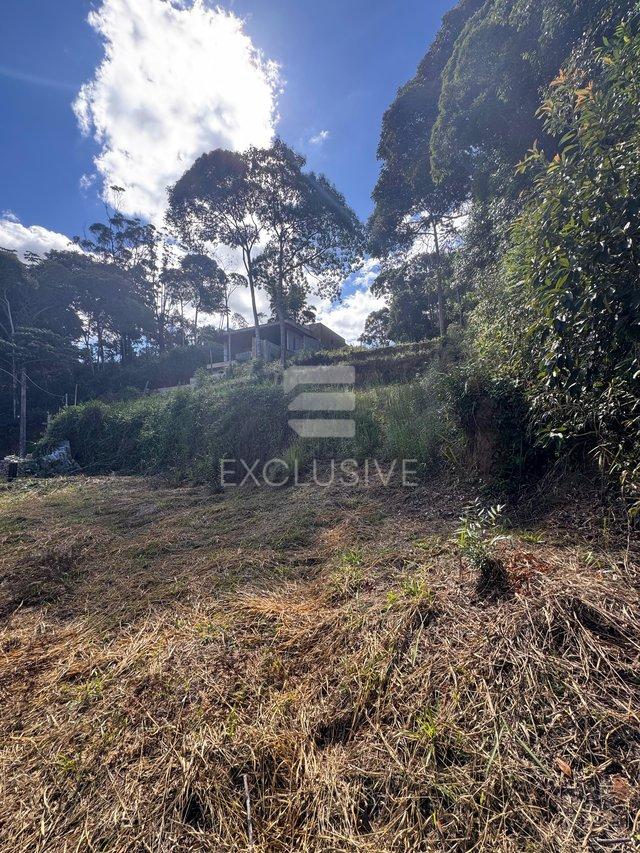 Terreno à venda, 115 m² por R$ 430.000,00 - Braunes - Nova Friburgo/RJ Rua Professor Worms de Carvalho Bastos Nova Friburgo - 