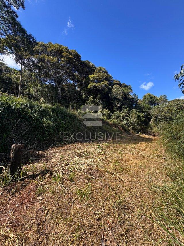 Terreno à venda, 115 m² por R$ 430.000,00 - Braunes - Nova Friburgo/RJ Rua Professor Worms de Carvalho Bastos Nova Friburgo - 
