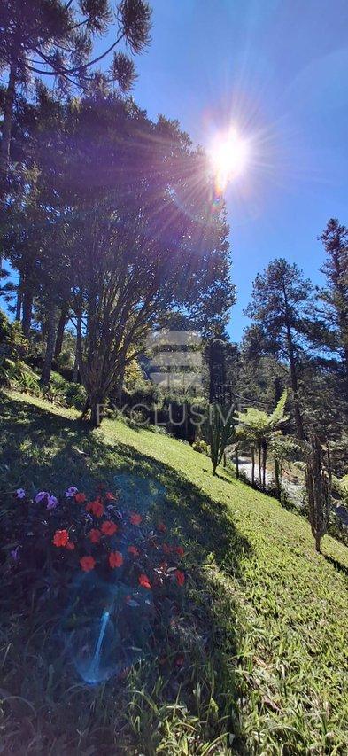 Terreno à venda, 1.092 m² por R$ 290.000,00 - Mury- Nova Friburgo/RJ - Nova Friburgo - 