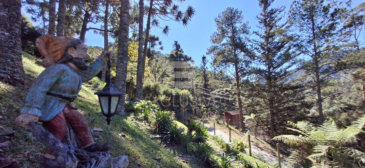 Terreno à venda, 1.092 m² por R$ 290.000,00 - Mury- Nova Friburgo/RJ - Nova Friburgo - 