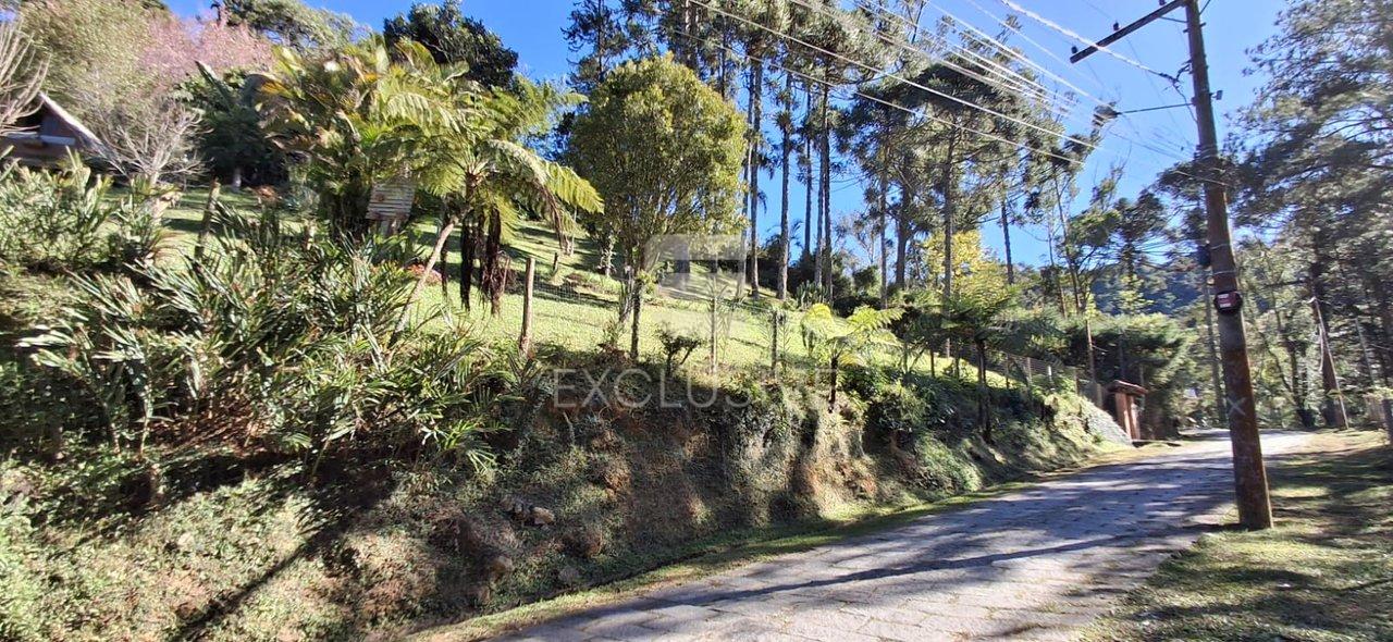 Terreno à venda, 1.092 m² por R$ 290.000,00 - Mury- Nova Friburgo/RJ - Nova Friburgo - 