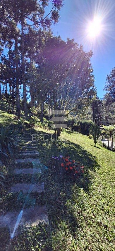 Terreno à venda, 1.092 m² por R$ 290.000,00 - Mury- Nova Friburgo/RJ - Nova Friburgo - 