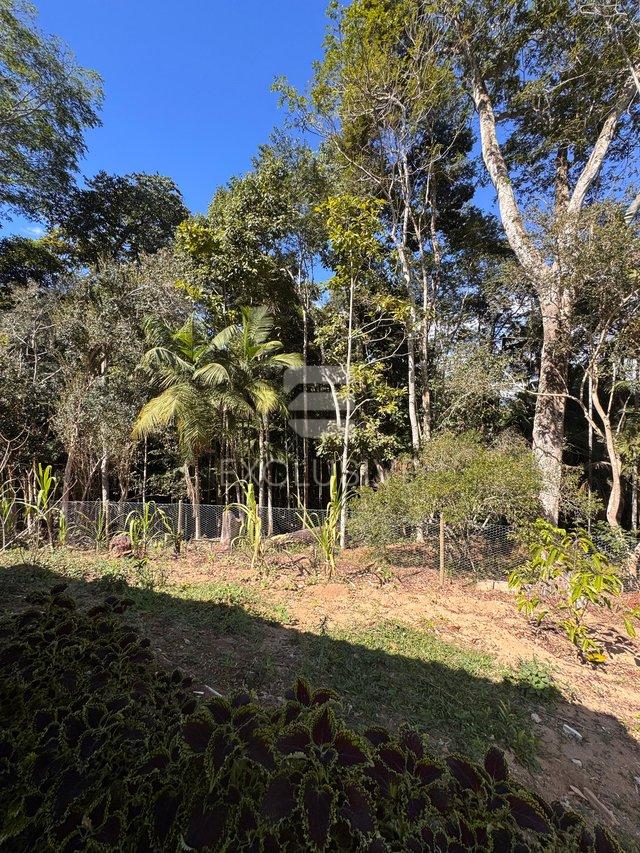 Belíssima Chácara em Amparo com 30.000 m²,  R$ 730.000,00 - Nova Friburgo/RJ Estrada Horácio Augusto Folly Nova Friburgo - 