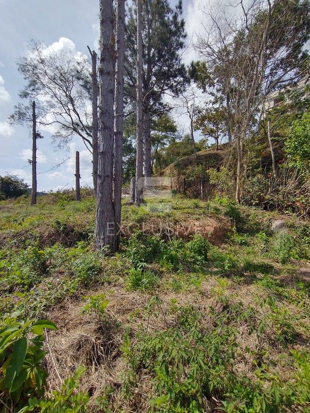 Casa com 4 dormitórios à venda, 372 m² por R$ 1650.000,00 - Braunes - Nova Friburgo/RJ  Nova Friburgo - 