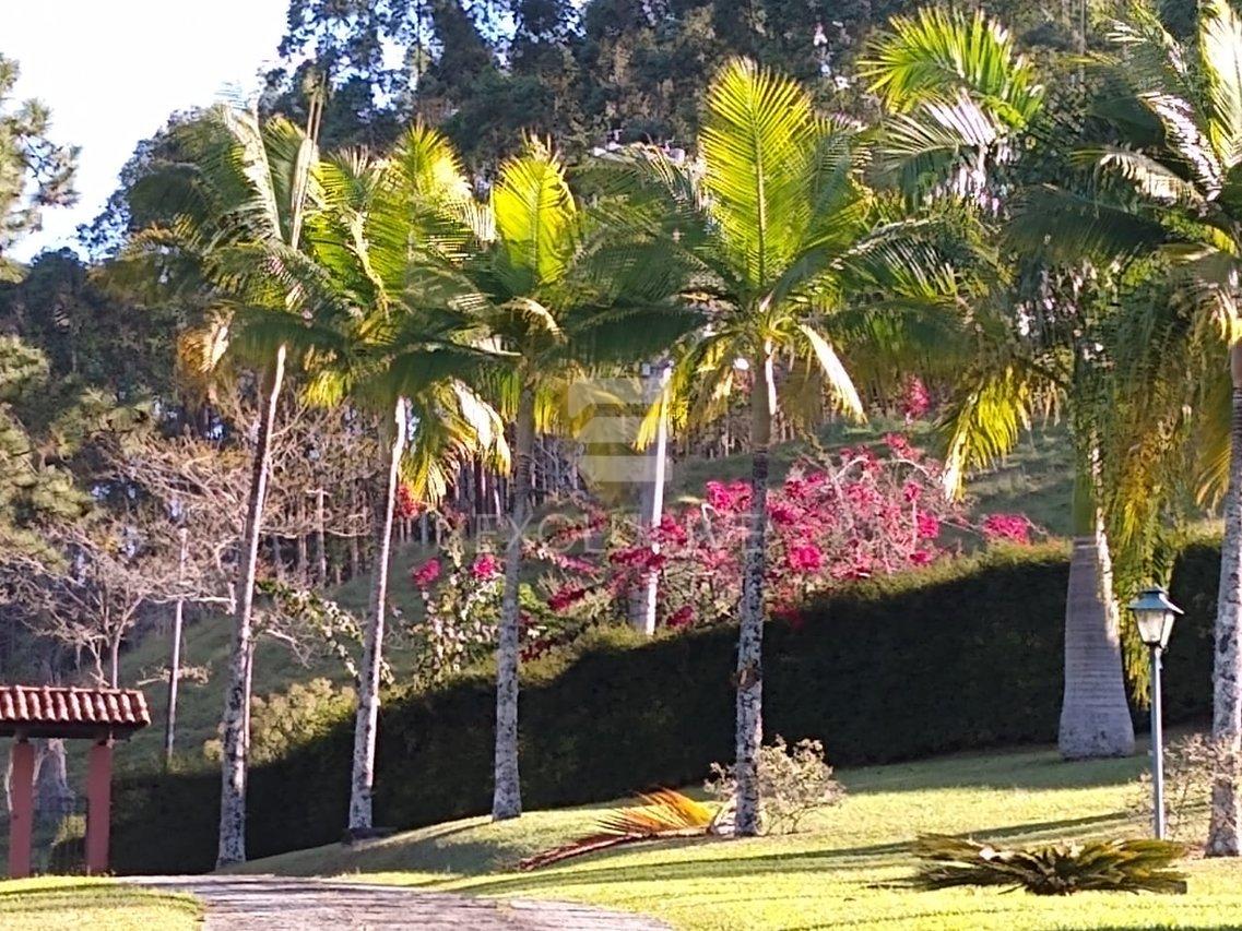 Chácara com 3 dormitórios à venda, 8.000 m² por R$ 1.150.000,00 - Nova Friburgo/RJ  Nova Friburgo - 