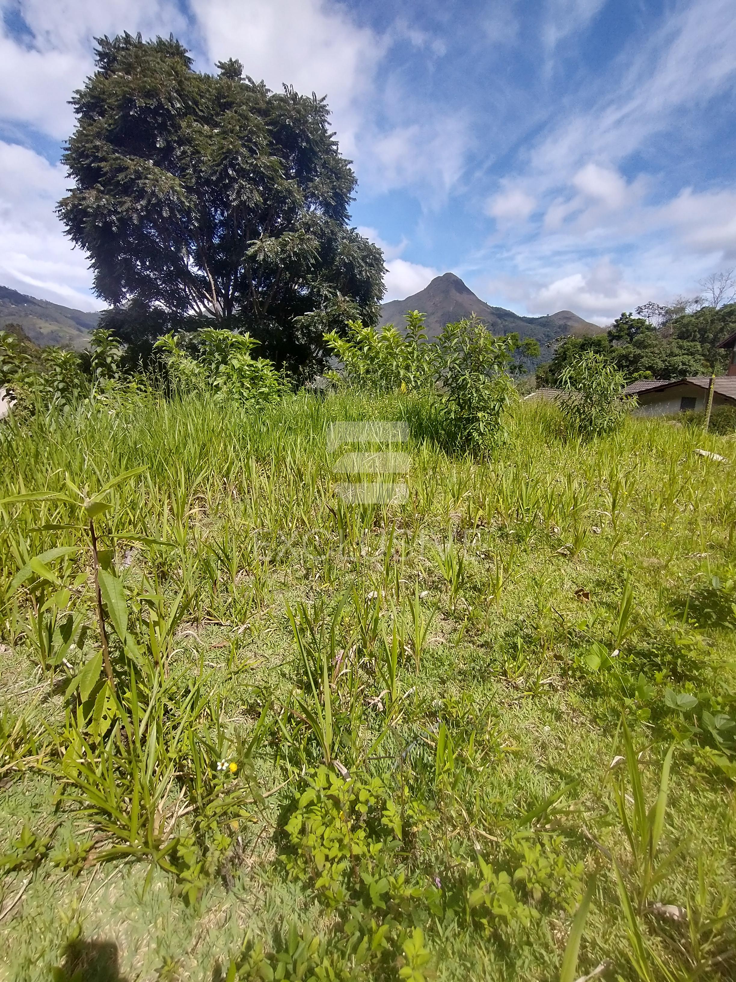 Terreno &agrave; venda, 366,25 m&sup2; por R$ 260.000 - C&ocirc;nego - Nova Friburgo/RJ Rua Regina de Azevedo Nova Friburgo - 