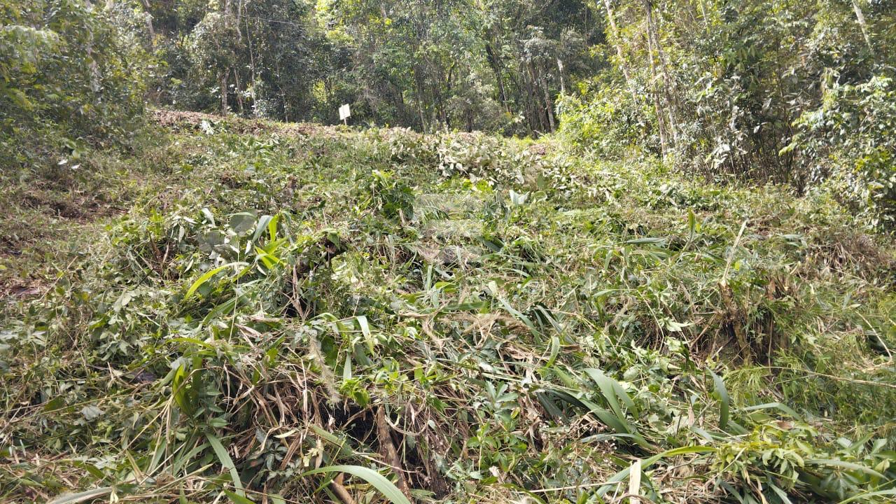 Terreno &agrave; venda, 468,23 m&sup2; por R$ 330.000 - C&ocirc;nego- Nova Friburgo/RJ Rua Rubens José Darcy Nova Friburgo - 