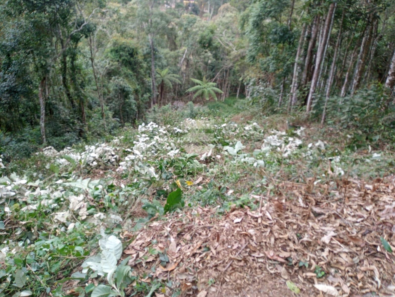 Terreno &agrave; venda, 468,23 m&sup2; por R$ 330.000 - C&ocirc;nego- Nova Friburgo/RJ Rua Rubens José Darcy Nova Friburgo - 