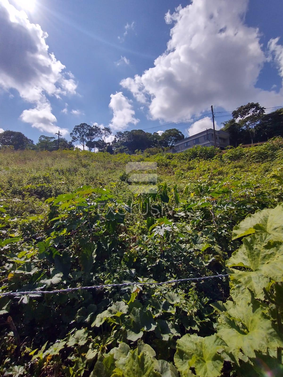 Terreno &agrave; venda por R$ 600.000 - C&ocirc;nego- Nova Friburgo/RJ Rua Ubatuba Nova Friburgo - 