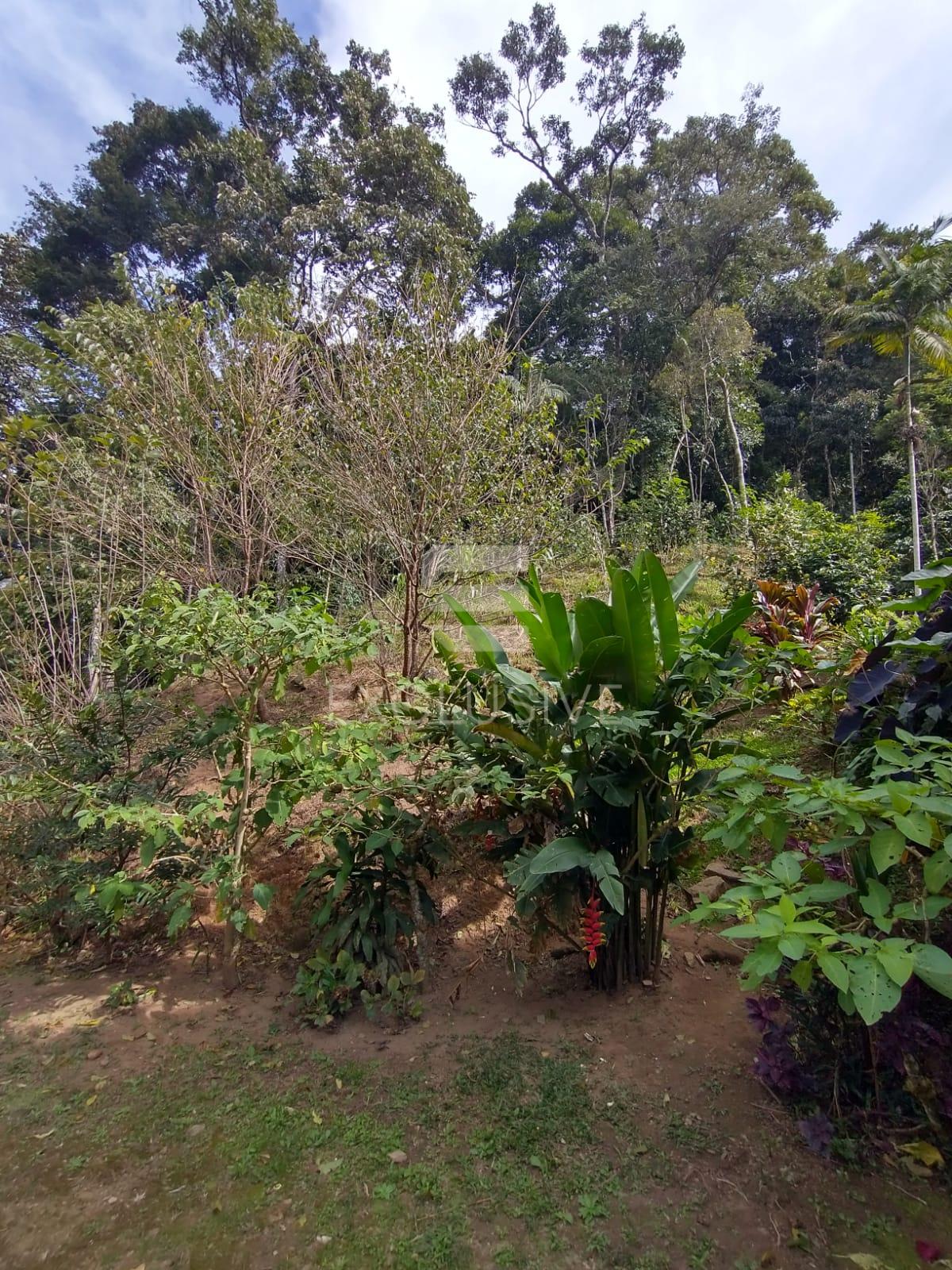 Casa com 4 dormit&oacute;rios &agrave; venda, 480 m&sup2; por R$ 1.100.000 - Mury - Nova Friburgo - RJ  Nova Friburgo - 