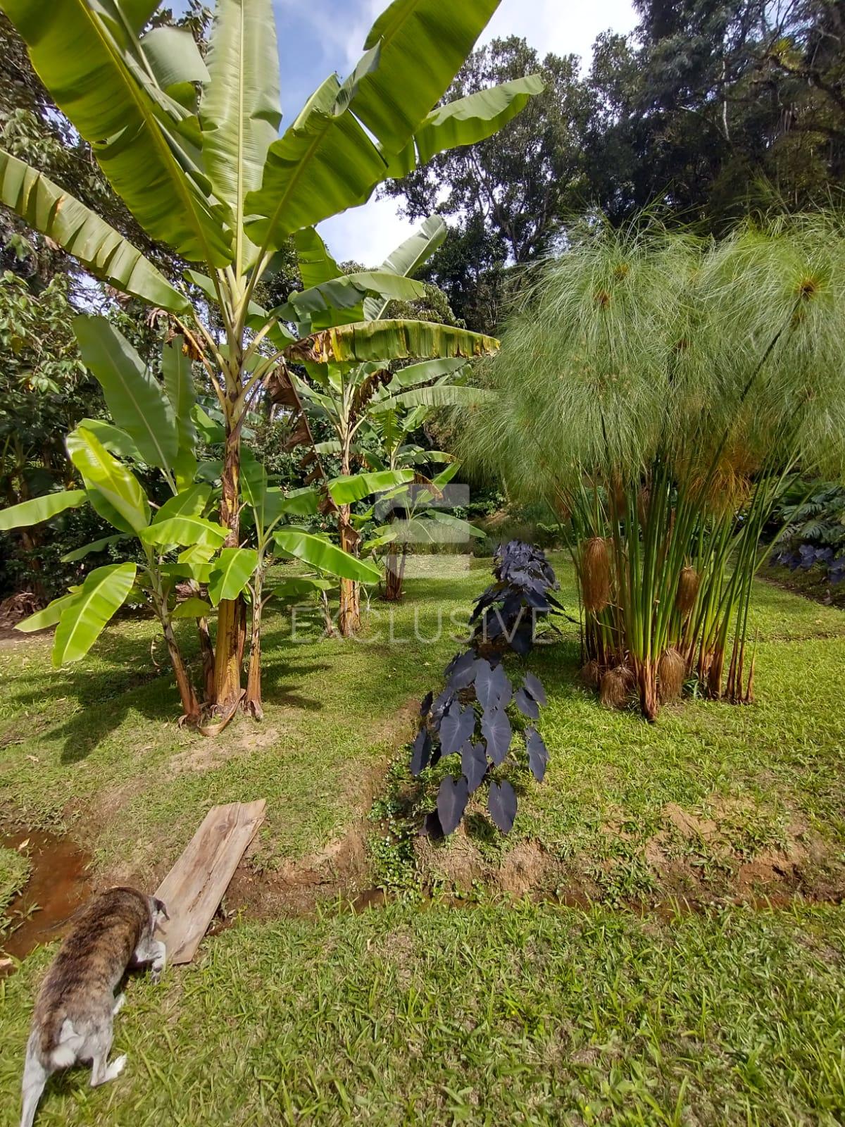 Casa com 4 dormit&oacute;rios &agrave; venda, 480 m&sup2; por R$ 1.100.000 - Mury - Nova Friburgo - RJ  Nova Friburgo - 