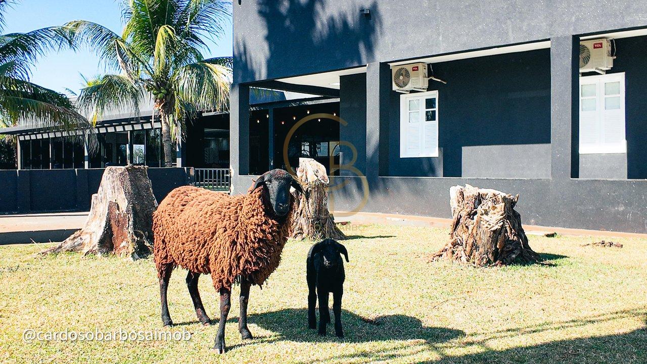 Chácara Porteira Fechada – Região da Gameleira MS 455 Campo Grande - 