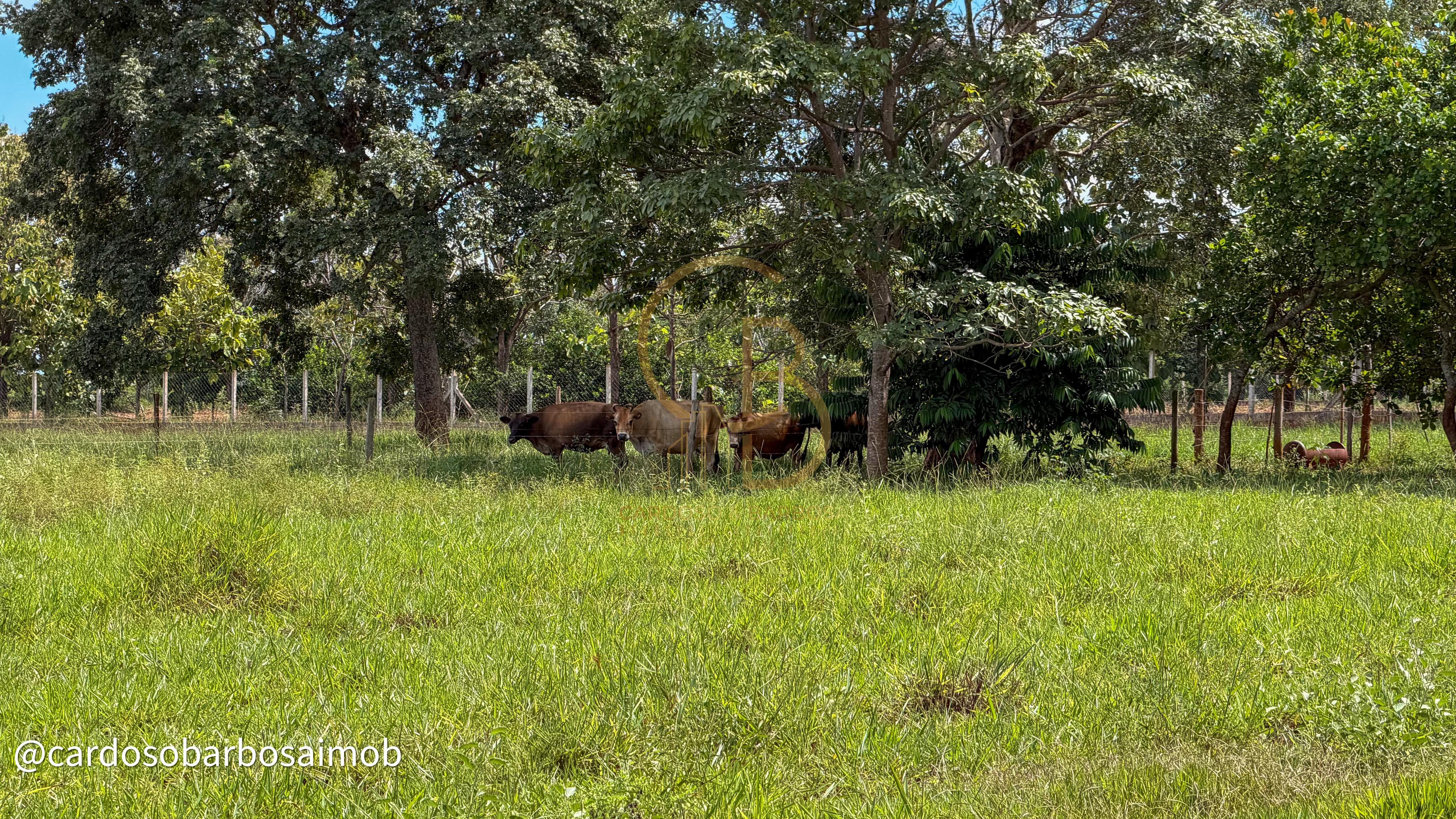 CH&Aacute;CARA COL&Ocirc;NIA DO AGU&Atilde;O &ndash; QUALIDADE DE VIDA, PRODU&Ccedil;&Atilde;O E LAZER EM UM S&Oacute; LUGAR MS-080 - Rochedo Campo Grande - 