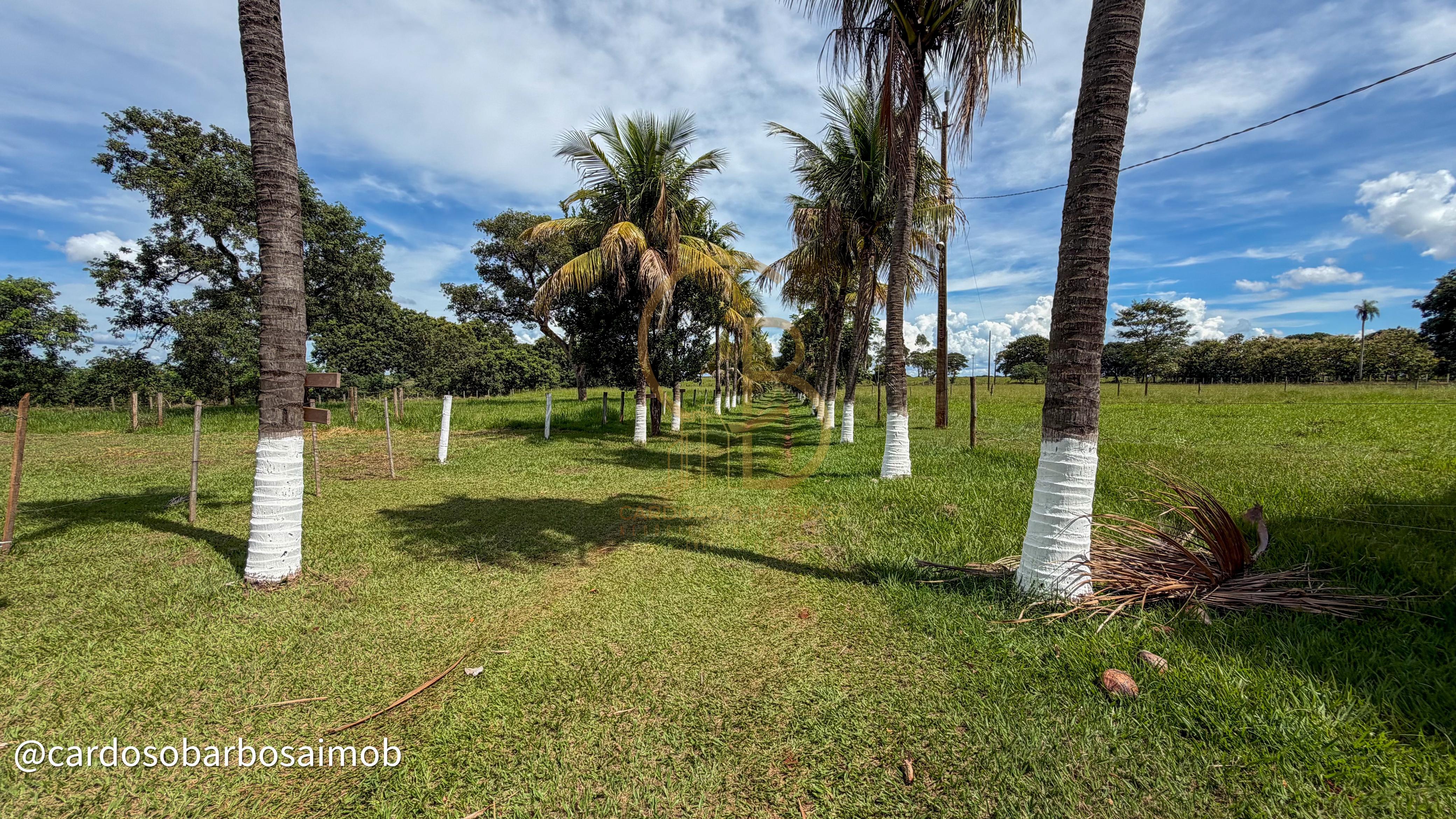 CH&Aacute;CARA COL&Ocirc;NIA DO AGU&Atilde;O &ndash; QUALIDADE DE VIDA, PRODU&Ccedil;&Atilde;O E LAZER EM UM S&Oacute; LUGAR MS-080 - Rochedo Campo Grande - 