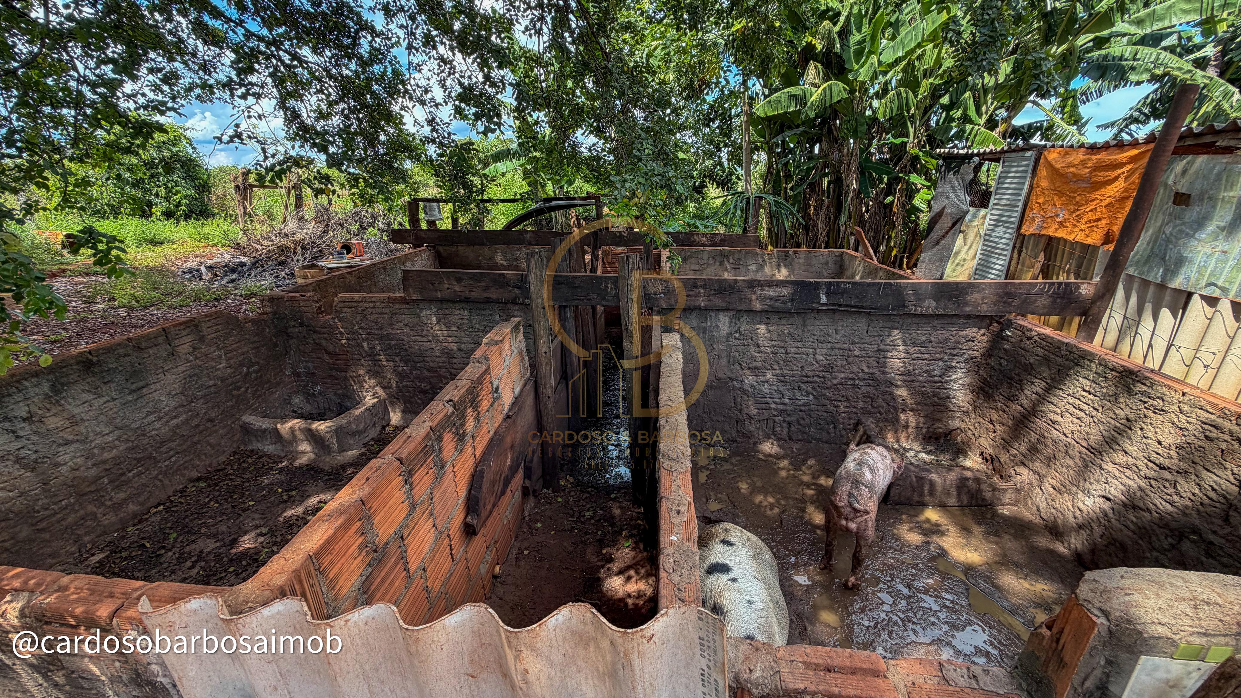 CH&Aacute;CARA COL&Ocirc;NIA DO AGU&Atilde;O &ndash; QUALIDADE DE VIDA, PRODU&Ccedil;&Atilde;O E LAZER EM UM S&Oacute; LUGAR MS-080 - Rochedo Campo Grande - 