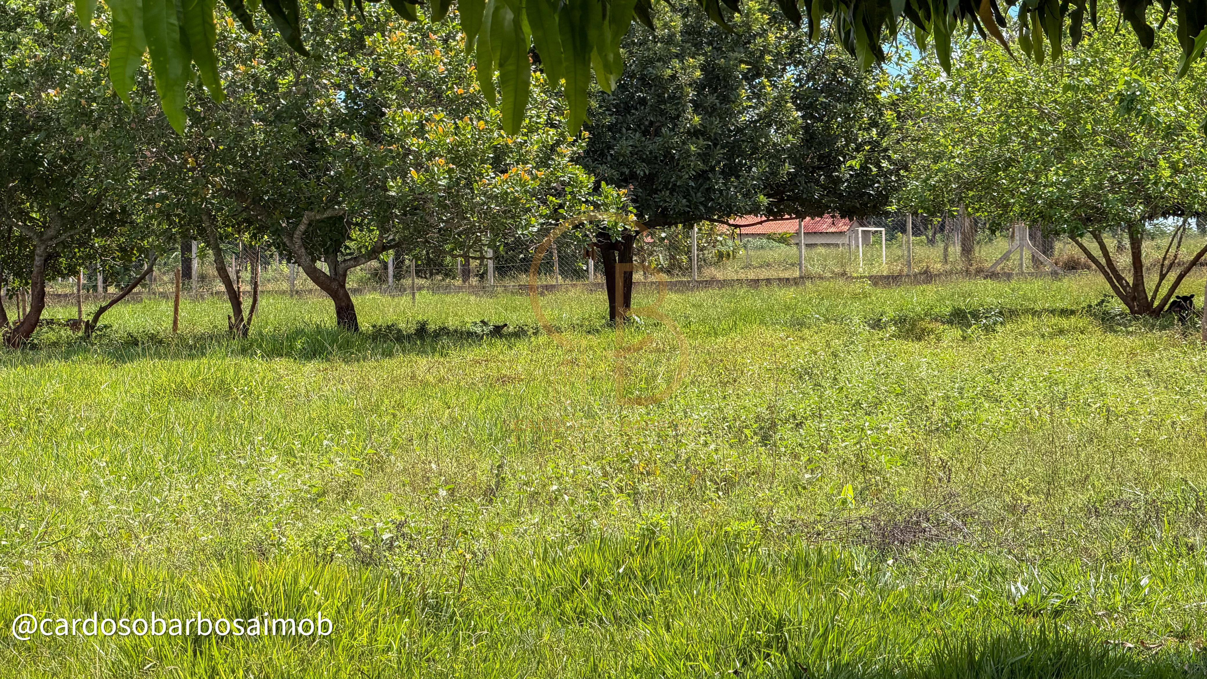 CH&Aacute;CARA COL&Ocirc;NIA DO AGU&Atilde;O &ndash; QUALIDADE DE VIDA, PRODU&Ccedil;&Atilde;O E LAZER EM UM S&Oacute; LUGAR MS-080 - Rochedo Campo Grande - 
