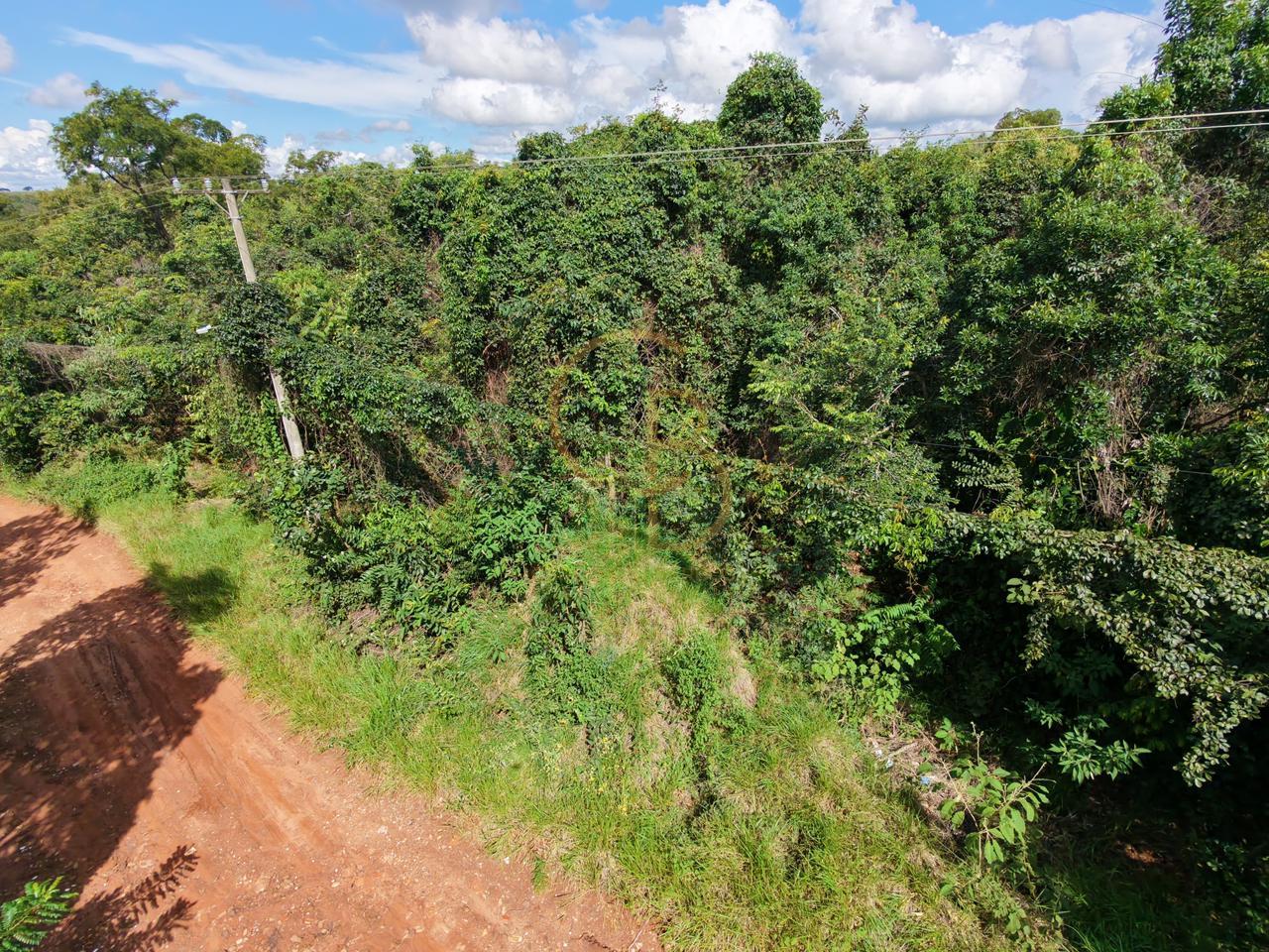 OPORTUNIDADE &Uacute;NICA NA CH&Aacute;CARA DOS PODERES &ndash; 5.000m&sup2; EW 11 Campo Grande - 