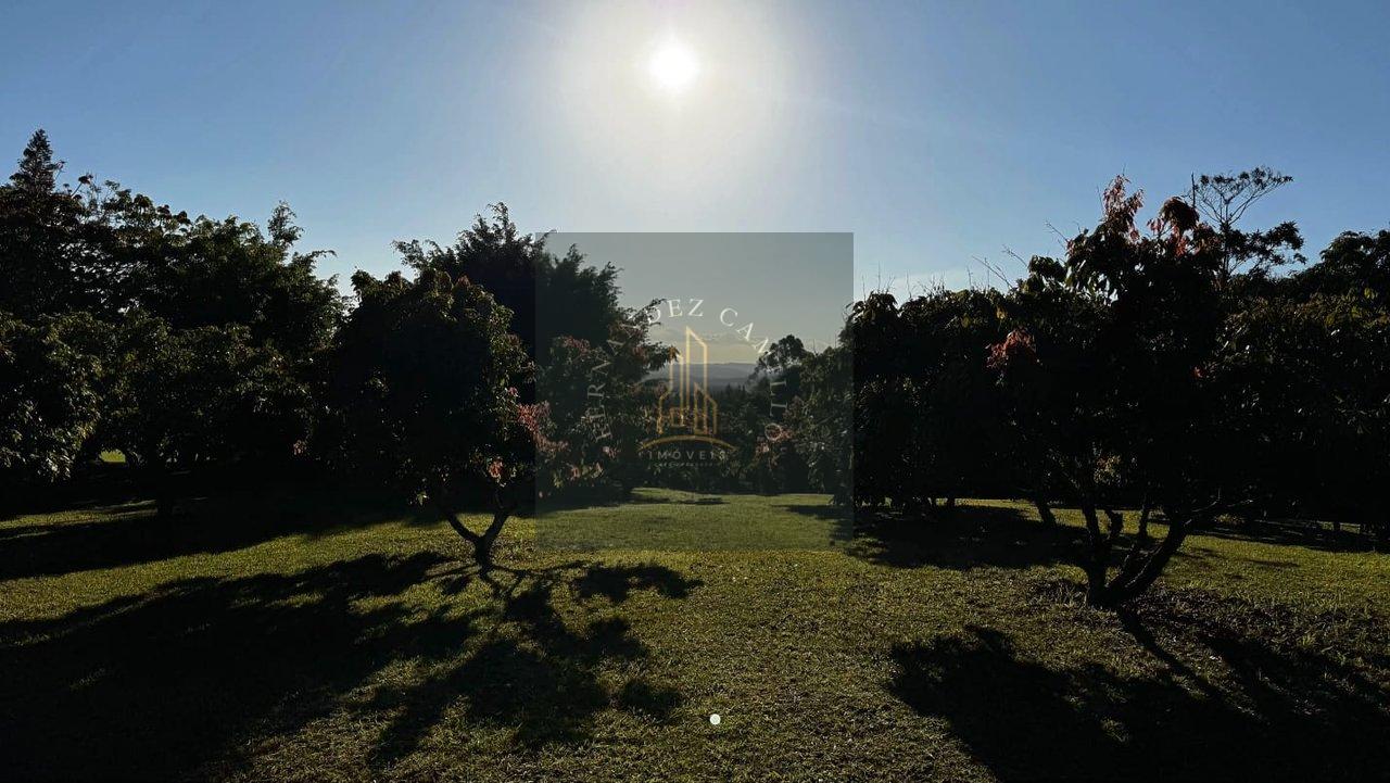 IMÓVEL RURAL ALTO PADRÃO ESTRADA TABOÃO LAMBARI Mogi das Cruzes - 