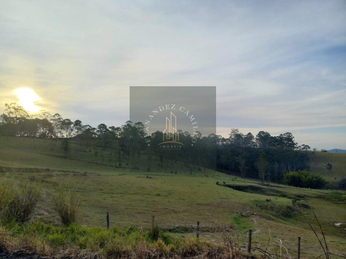 24.200m2   ITAPETI/TABOÃO . IMÓVEL RURAL ESTRADA TABOÃO DO PARATEI Mogi das Cruzes - 