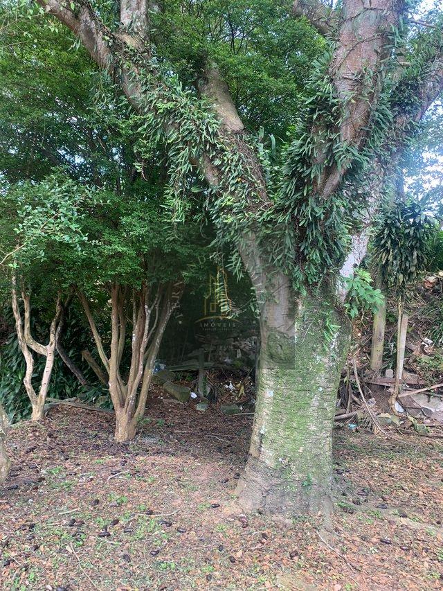 CHÁCARA 1.560M2 COM RESIDÊNCIA + GALPÃO 130M2 / EM ÁREA URBANA / DOC.100% Rua Waldir Carrião Soares Mogi das Cruzes - 