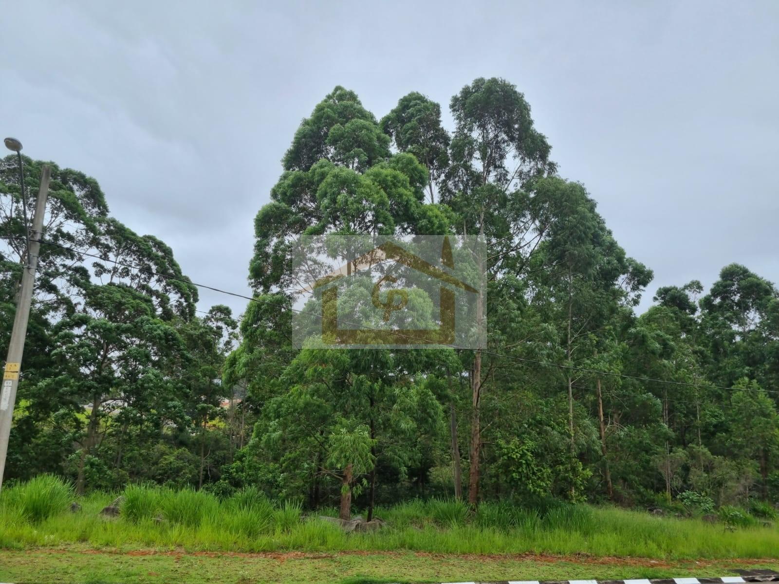 Terreno, 779 m² - Foto 5