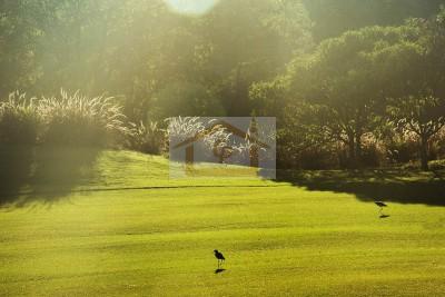 Terreno, 2850 m² - Foto 10