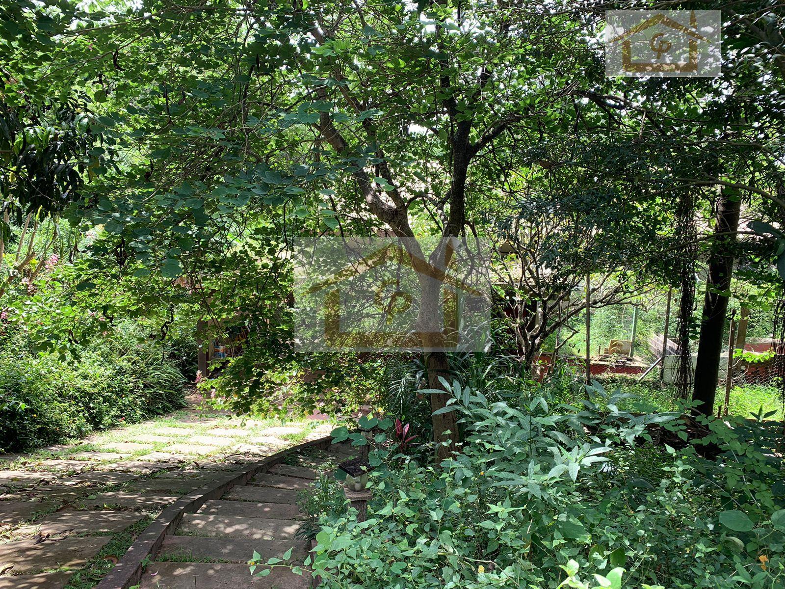 Casa, 4 quartos, 400 m² - Foto 16