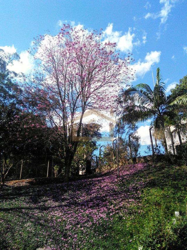 Residencial com mata Atlântica predominante, são 3 quartos sendo um suíte, 5 vagas Estrada do Lutero Cotia - 