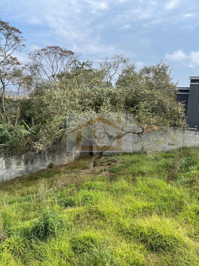 Natureza Linda, Lote com 334 metros Estrada Carlos Antônio Pereira de Castro Cotia - 