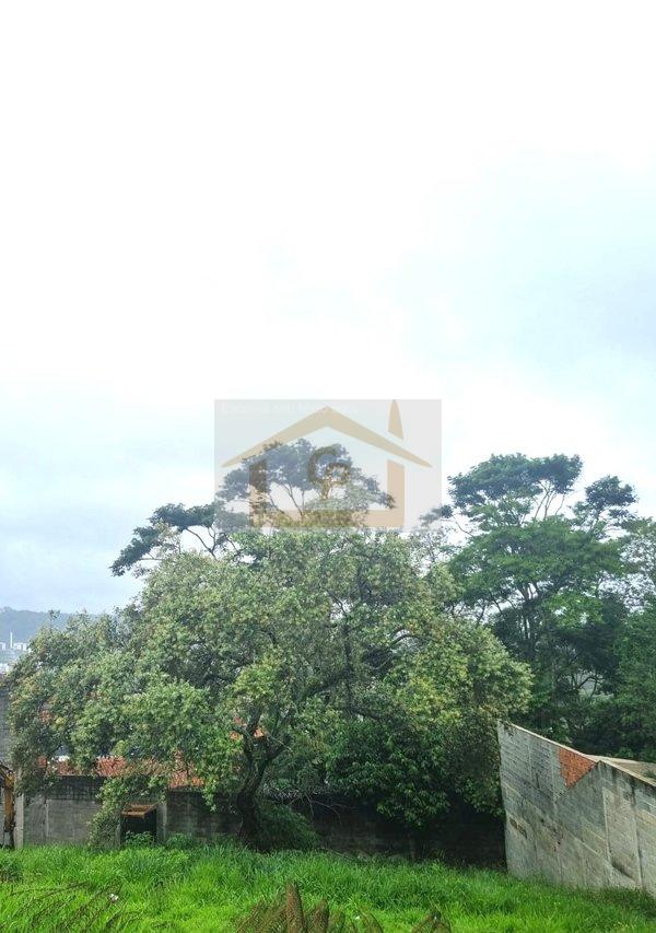 Natureza Linda, Lote com 334 metros Estrada Carlos Antônio Pereira de Castro Cotia - 