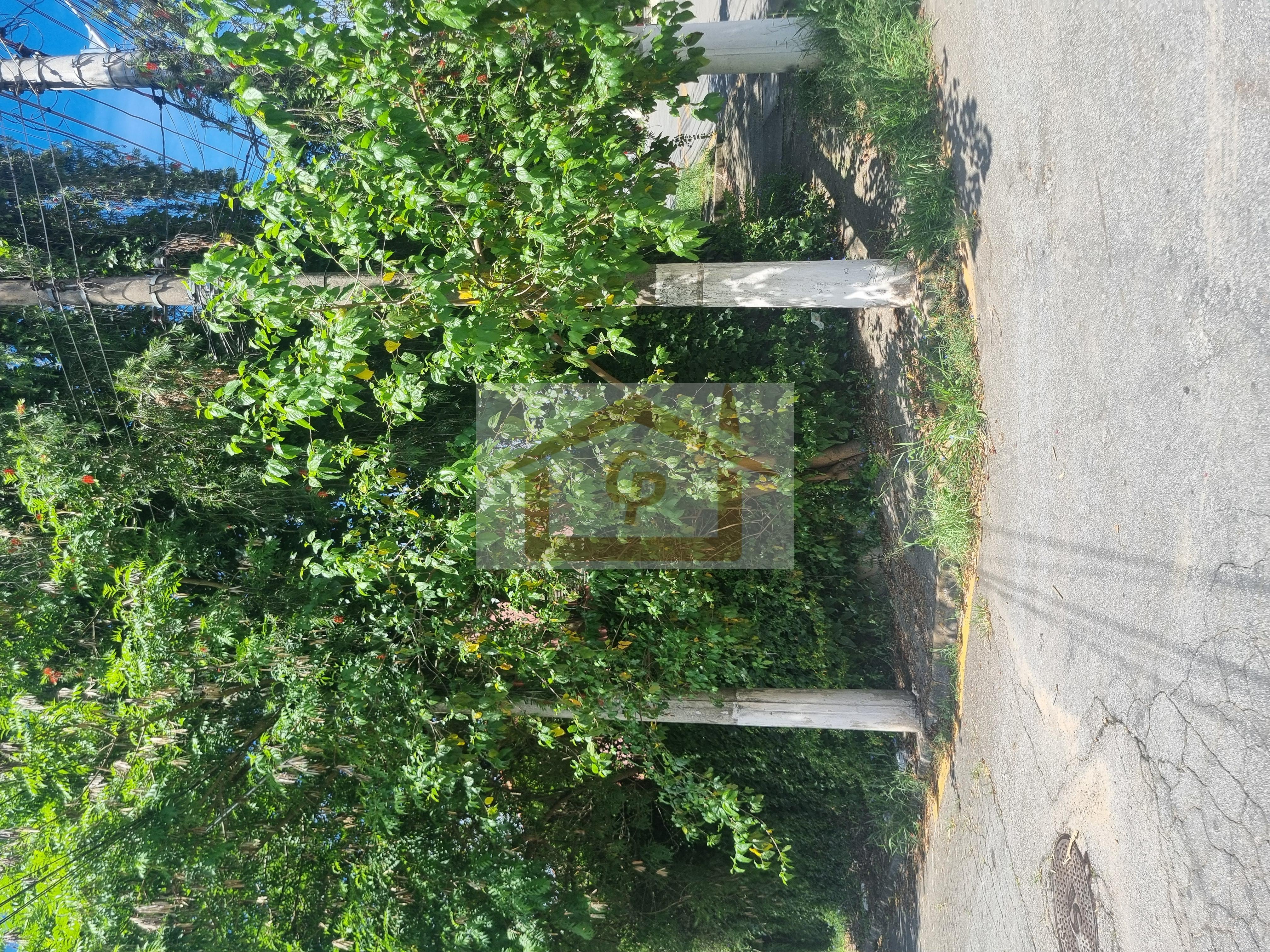 Casa, 3 quartos, 120 m² - Foto 32