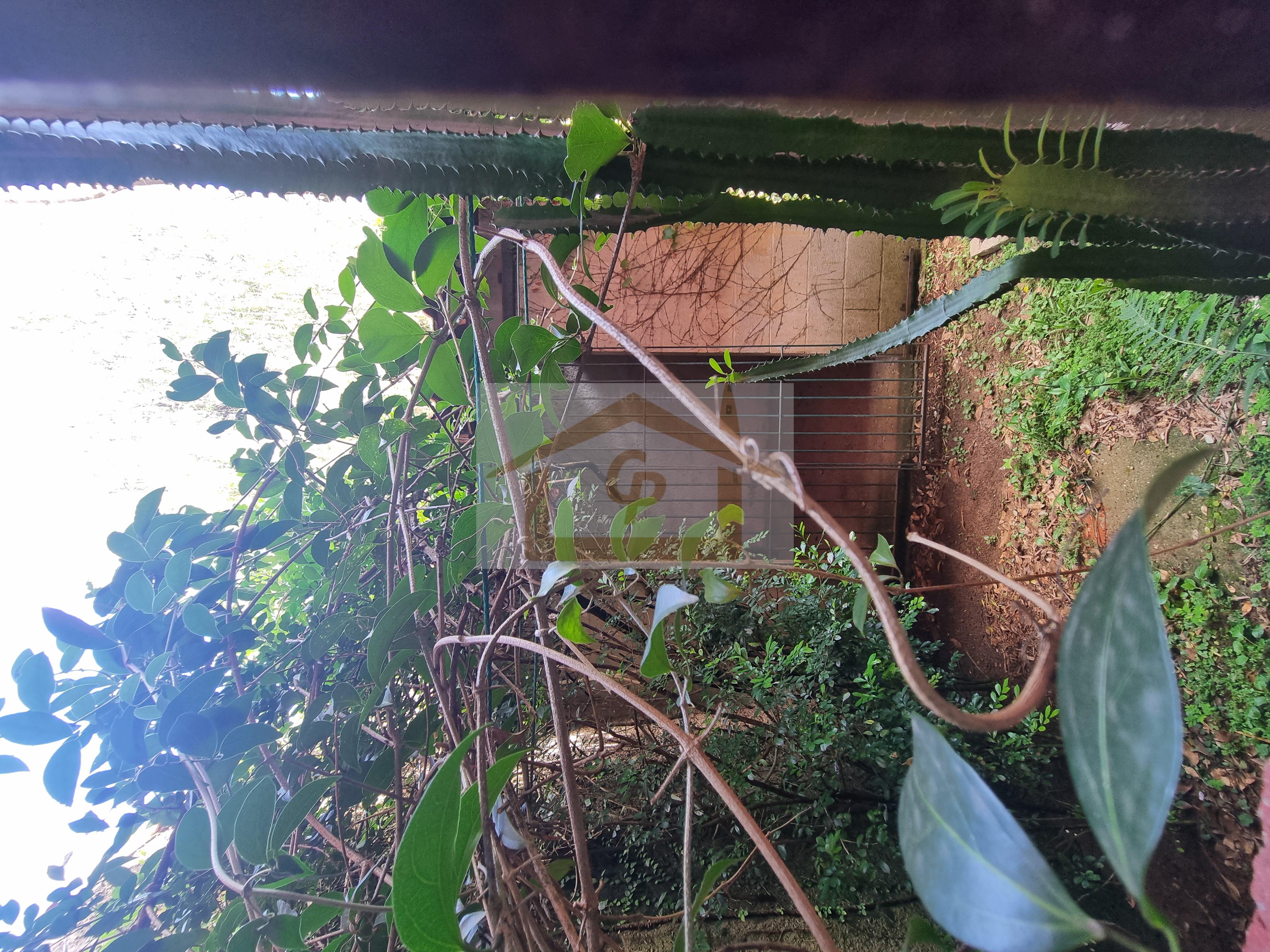 Casa, 3 quartos, 120 m² - Foto 31