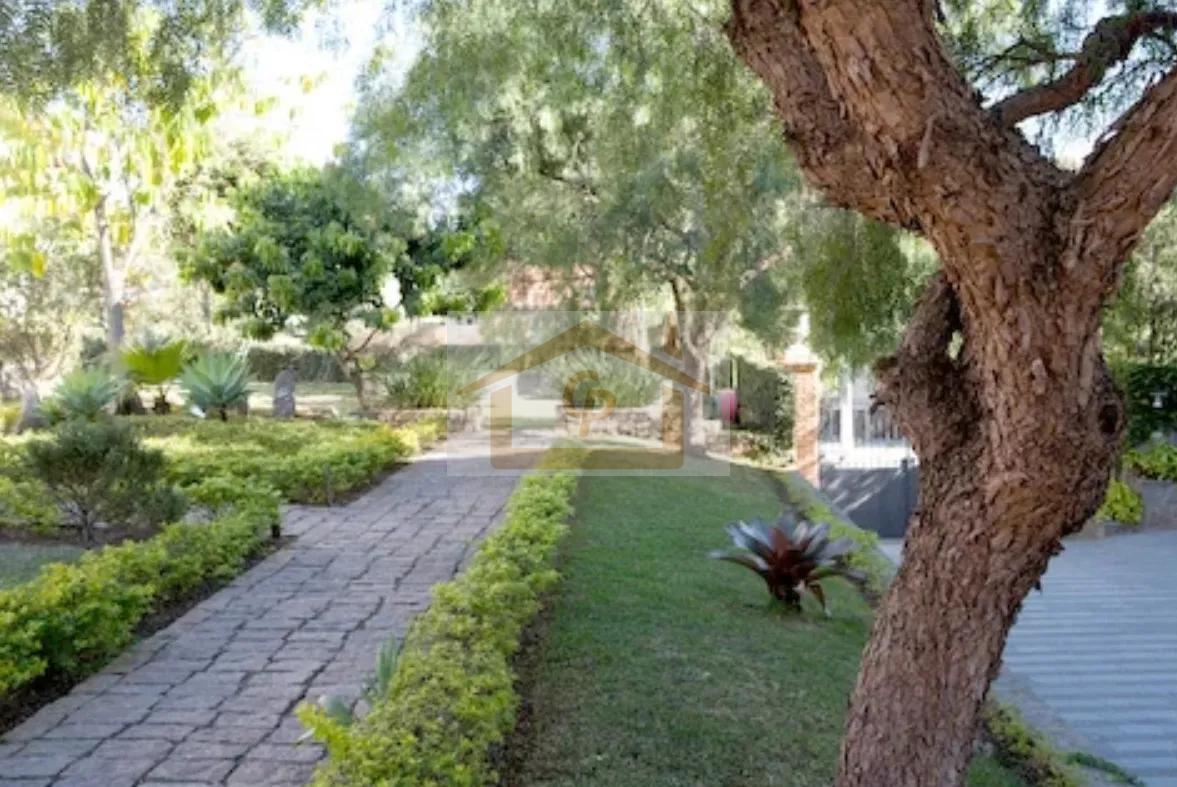 Casa, 4 quartos, 746 m² - Foto 30