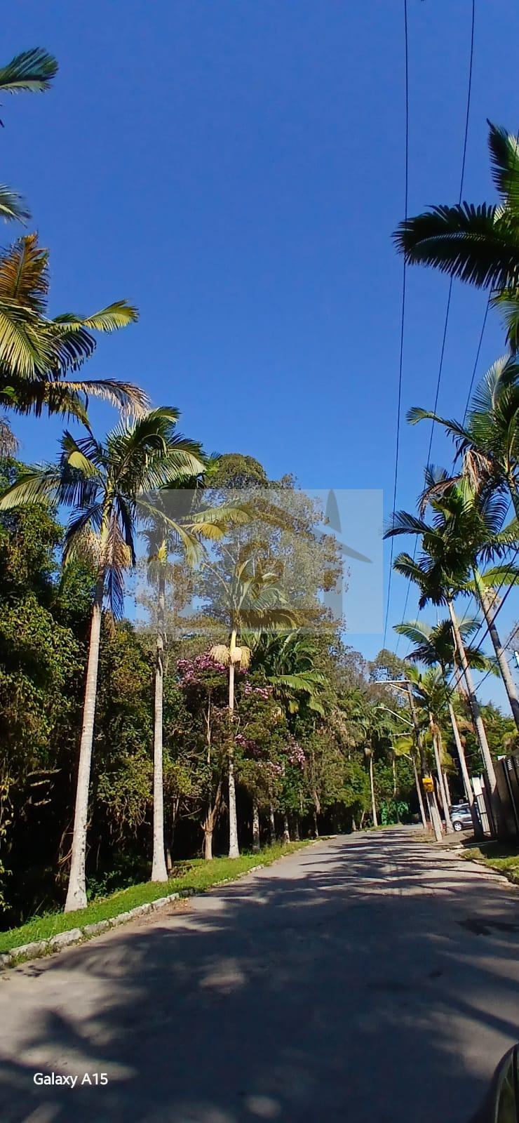 Casa, 4 quartos, 350 m² - Foto 57