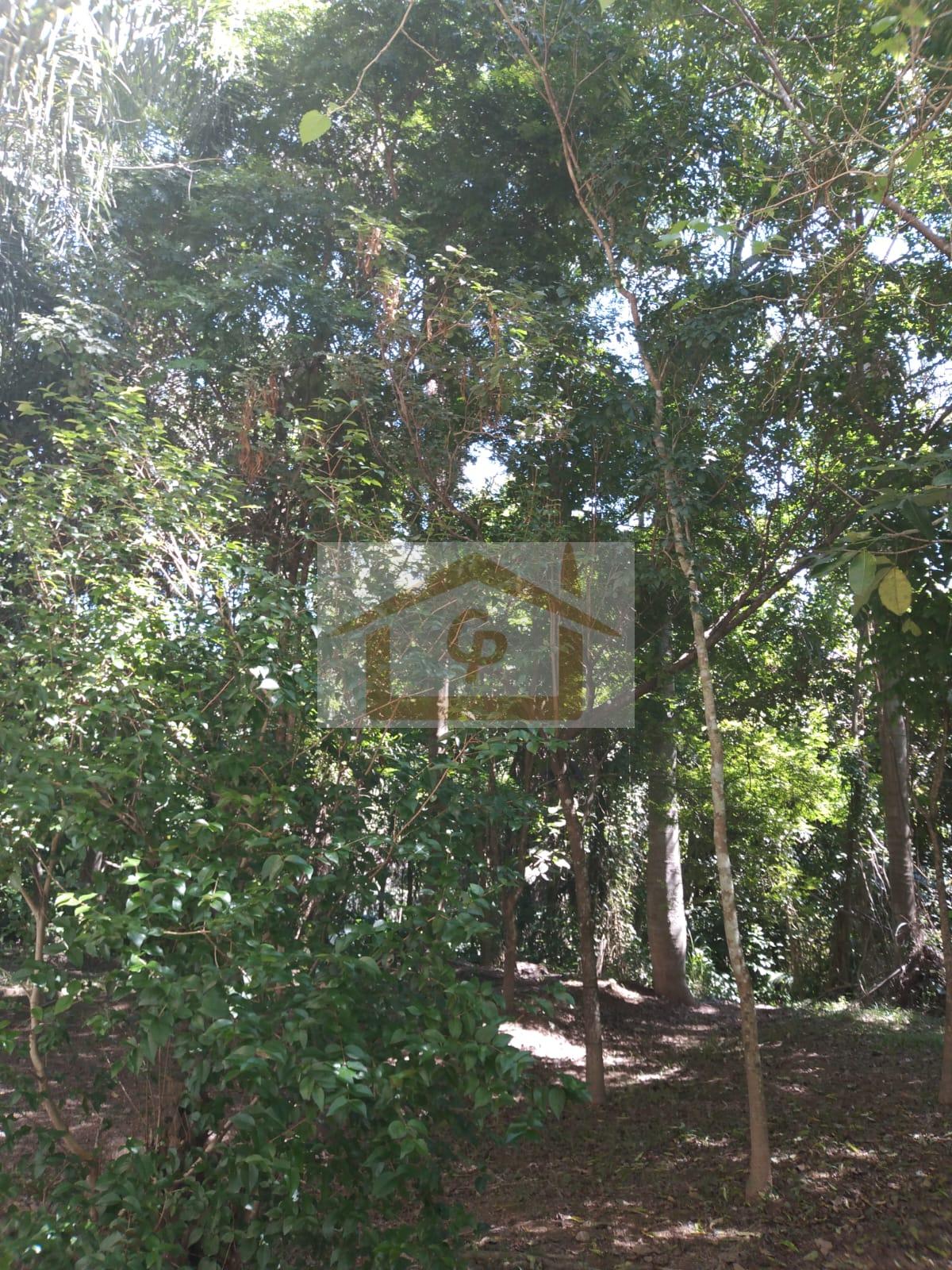 Praticidade e beleza natural! 2 quartos, varanda,1 vaga Rua São Vicente Cotia - 