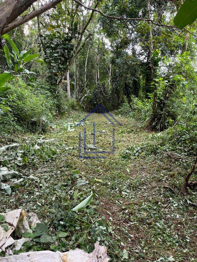 Terreno em condomínio na Serra - Guapimirim - 